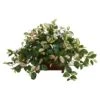 16" Hoya In Decorative Planter