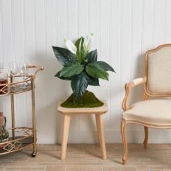 White Peace Lily Plant, 3ct. -Michaels Shop D262550S 13