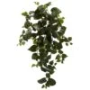 Hanging Philo Plant, 3ct. -Michaels Shop D262553S 1