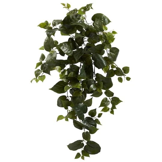 Hanging Philo Plant, 3ct. 3 Hanging Philo Plant, 3ct.