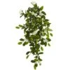 Hanging Mixed Stephanotis & Ivy Plant, 4ct. 2 Hanging Mixed Stephanotis & Ivy Plant, 4ct. -Michaels Shop D262554S 1