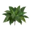 22" Bird's Nest Fern Plant, 3ct. 2 22" Bird's Nest Fern Plant, 3ct. -Michaels Shop D262560S 11