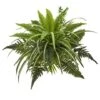 Mixed Greens & Fern Bush, 3ct. -Michaels Shop D262574S 1