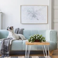 18'' White Bougainvillea Plant In Brown Planter -Michaels Shop D262582S 13