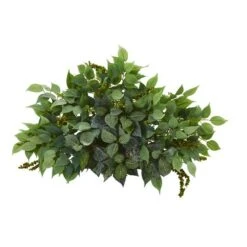20'' Mixed Ficus & Fittonia Ledge Plant -Michaels Shop D262583S 11 1