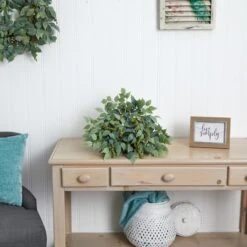 20'' Mixed Ficus & Fittonia Ledge Plant -Michaels Shop D262583S 13