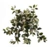 Hoya Hanging Bush, 4ct. -Michaels Shop D262589S 1