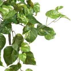 2ft. Pothos Hanging Bush, 3ct. -Michaels Shop D262601S 12