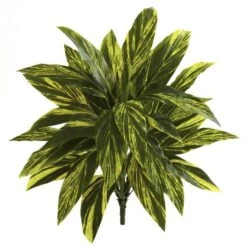 Green Spiderwort Bush, 6ct. -Michaels Shop D262603S 1 1