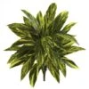 Green Spiderwort Bush, 6ct. 1 Green Spiderwort Bush, 6ct. -Michaels Shop D262603S 1
