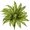 Chinese Evergreen Bush, 4ct. -Michaels Shop D262610S 1