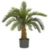 2.5ft. Potted Cycas Tree -Michaels Shop D262633S 1