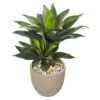 3ft. Double Agave Succulent In Sand Stone Planter -Michaels Shop D262638S 1