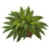 23" Boston Fern In Metallic Planter -Michaels Shop D262646S 11