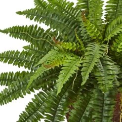 23" Boston Fern In Metallic Planter -Michaels Shop D262646S 12