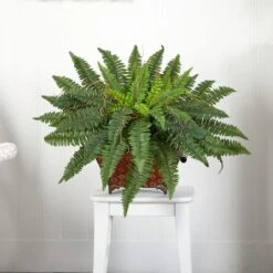 23" Boston Fern In Metallic Planter -Michaels Shop D262646S 14