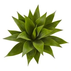 Green Large Agave Pick -Michaels Shop D262650S 12