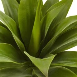 Green Large Agave Pick -Michaels Shop D262650S 14