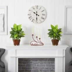 20.5" Variegated Dieffenbachia In Wood Vase, 2ct. 11 20.5" Variegated Dieffenbachia In Wood Vase, 2ct. -Michaels Shop D262657S 14