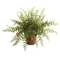 12" Fern In Decorative Planter, 2ct. -Michaels Shop D262662S 2