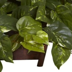 16" Pothos In Rectangle Decorative Planter -Michaels Shop D262673S 13