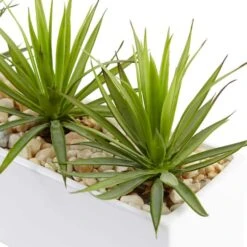 8" Mini Agaves In Rectangular Ceramic Planter -Michaels Shop D262674S 12