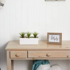 8" Mini Agaves In Rectangular Ceramic Planter -Michaels Shop D262674S 15