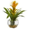 12" Bromeliad Plant With Glass Vase Arrangement