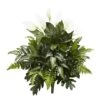 Peace Lily, Philodendron, And Fern Bush, 2ct. -Michaels Shop D262726S 1