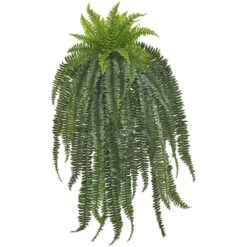 5ft. Boston Fern Hanging Plant -Michaels Shop D262738S 1 1