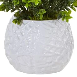 17" Boxwood In White Vase -Michaels Shop D262752S 13