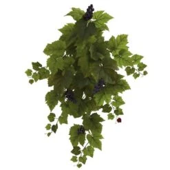 Grape Leaf Hanging Plant, 2ct.