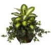 20" Dieffenbachia & Ivy In Decorative Planter 1 20" Dieffenbachia & Ivy In Decorative Planter -Michaels Shop D262760S 11