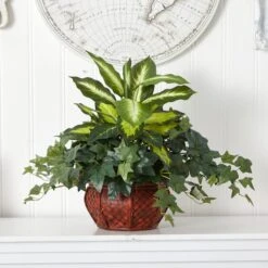 20" Dieffenbachia & Ivy In Decorative Planter 7 20" Dieffenbachia & Ivy In Decorative Planter -Michaels Shop D262760S 12