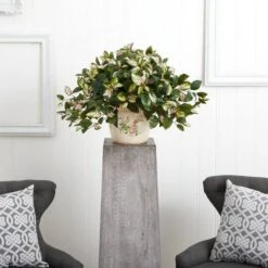 18" Hoya Tricolor In Floral Planter -Michaels Shop D262762S 12