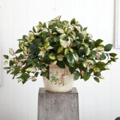 18" Hoya Tricolor In Floral Planter -Michaels Shop D262762S 13