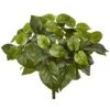 16" Pothos Bush, 6ct. 1 16" Pothos Bush, 6ct. -Michaels Shop D262771S 1