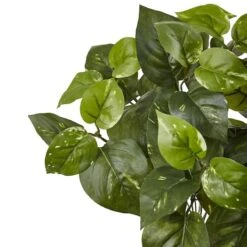16" Pothos Bush, 6ct. -Michaels Shop D262771S 3