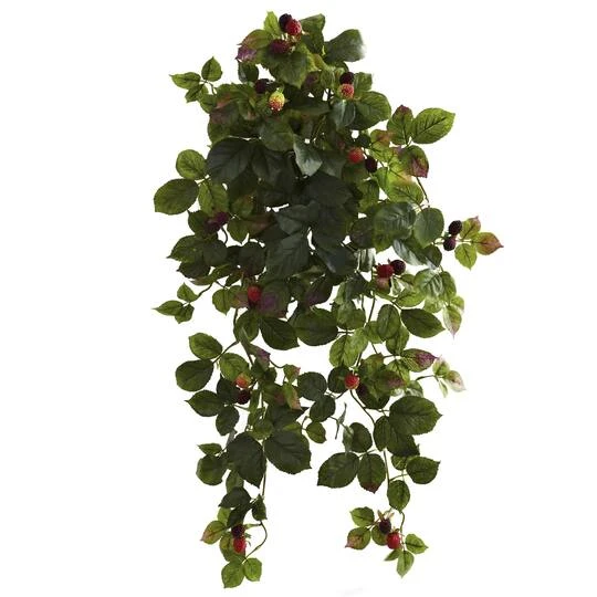32" Raspberry Hanging Bush With Berries 4 32" Raspberry Hanging Bush With Berries - Image 2