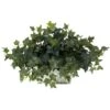 14" Ivy In White Planter