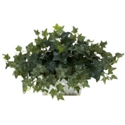 14" Ivy In White Planter