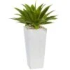 2ft. Agave In White Planter -Michaels Shop D262808S 11