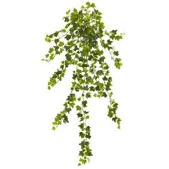 Ivy Hanging Plant, 4ct.