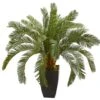 2.5ft. Cycas In Black Planter -Michaels Shop D262833S 11