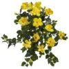 2ft. Yellow Hibiscus Hanging Plant, 2ct. -Michaels Shop D262839S 1