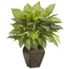 23" Dieffenbachia Tree In Decorative Vase -Michaels Shop D262841S 11