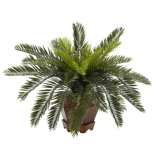 15" Cycas With Hexagon Vase 4 15" Cycas With Hexagon Vase - Image 2