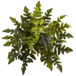 24in. Holly Fern Plant, 2ct.