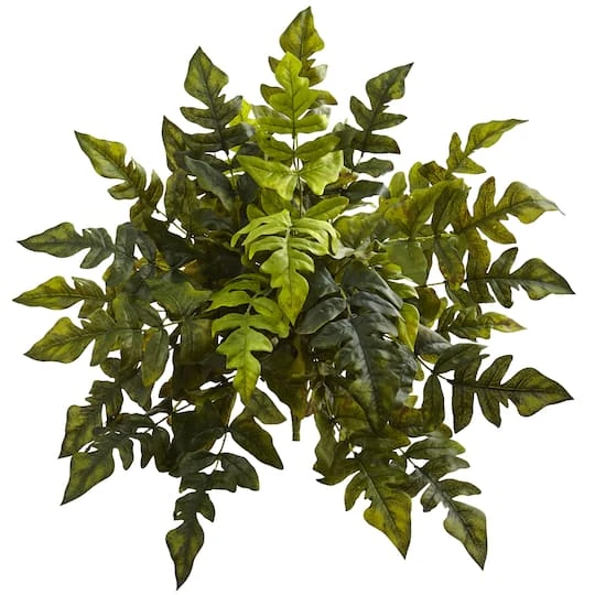 24in. Holly Fern Plant, 2ct. 3 24in. Holly Fern Plant, 2ct.