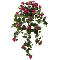 3ft. Bougainvillea Hanging Plant Set 8 3ft. Bougainvillea Hanging Plant Set -Michaels Shop D262848S 11 1